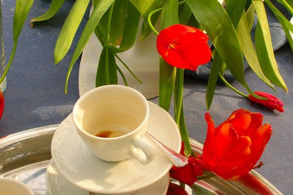 red queen [caffe e tulipani]
