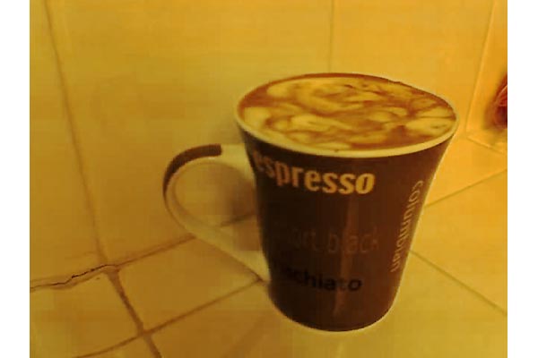 hollycoffeebean [espressocream]