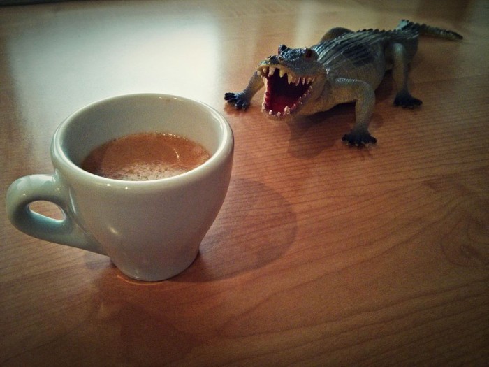 Coffee and alligators - Simona che ore sono