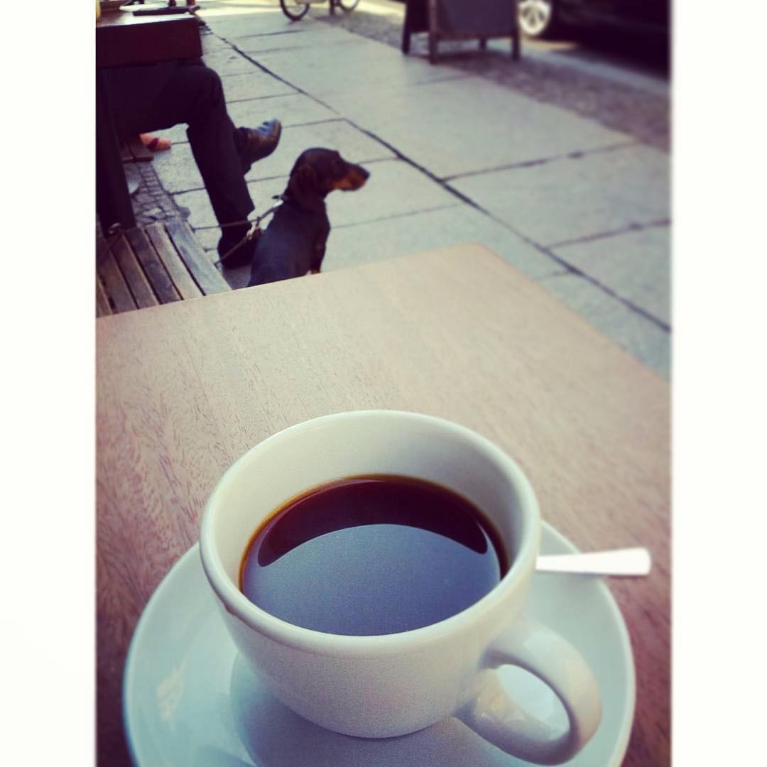 Happy morning coffee, friends! | @hypnoticaubergine